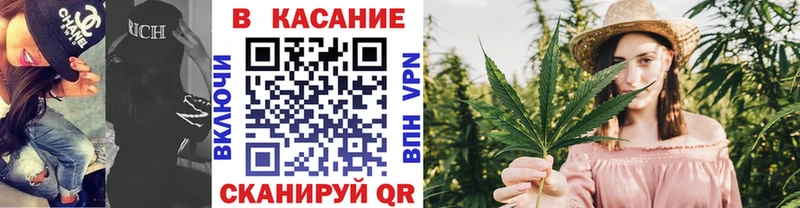 Купить закладку Павловский Посад APVP  Галлюциногенные грибы  Канабис  МЕФ  Амфетамин 