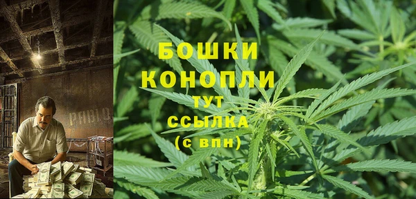 трава Медвежьегорск