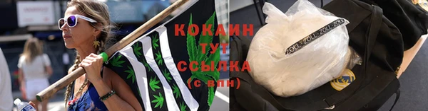 трава Медвежьегорск