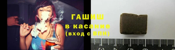 индика Мегион