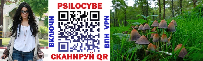 KRAKEN ссылки  Павловский Посад  Галлюциногенные грибы Psilocybe 